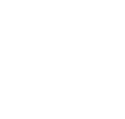 Logo Angelis Ecosystem Blanco